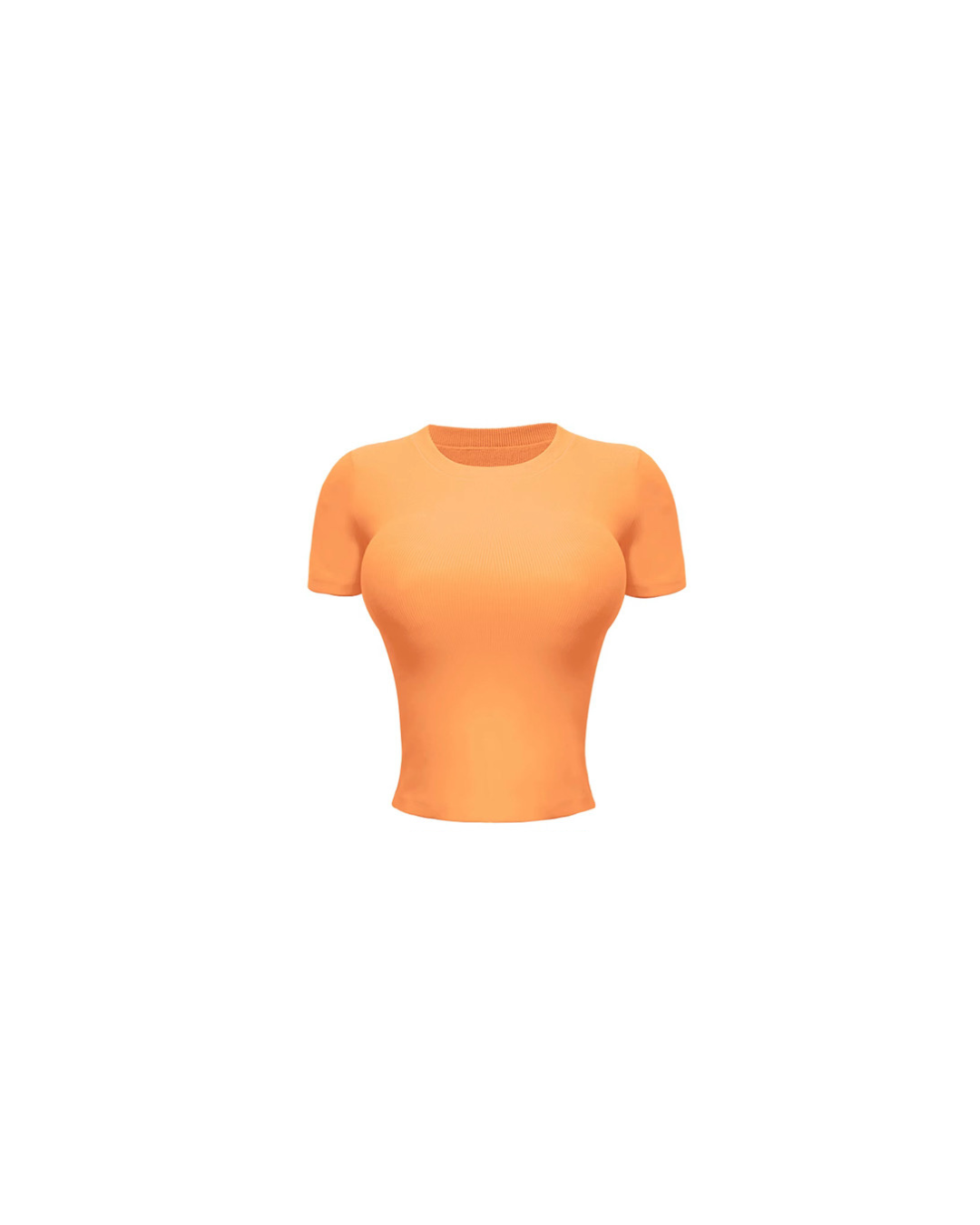 NW RIBBED SHORT SLEEVE